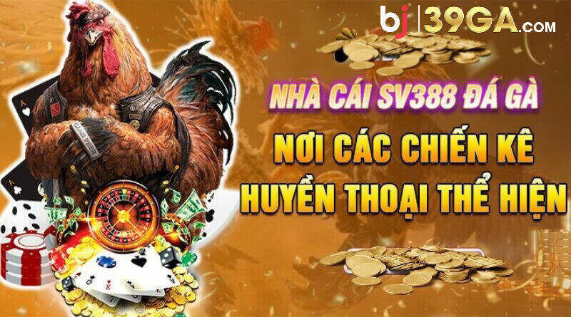 SV388 có kho tường thuật đá gà online hấp dẫn 